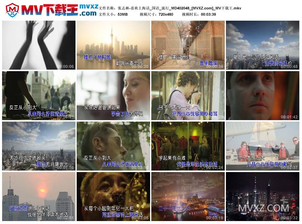 张志林-喜欢上海话_国语_流行_MD402048